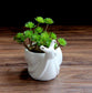 Snail Flower Pot Blackbrdstore