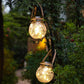 Solar Copper Wire Ball Glass Blackbrdstore