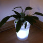 Solar Lamp Flowerpot Blackbrdstore