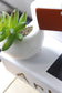 Succulent Plant Fridge Magnet Blackbrdstore