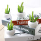 Succulent Plant Fridge Magnet Blackbrdstore