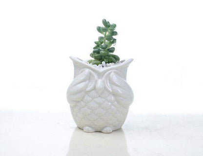 The 3 Wise Owls Blackbrdstore