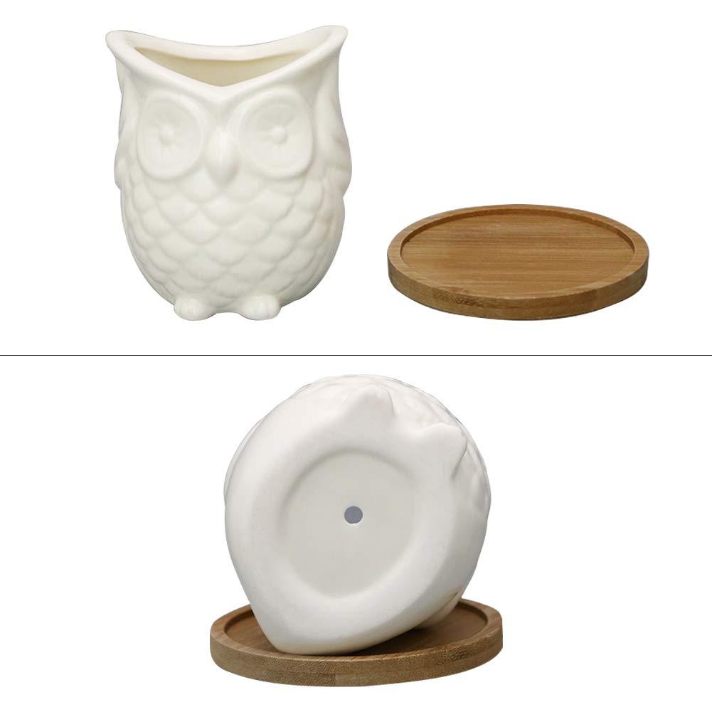 The 3 Wise Owls Blackbrdstore