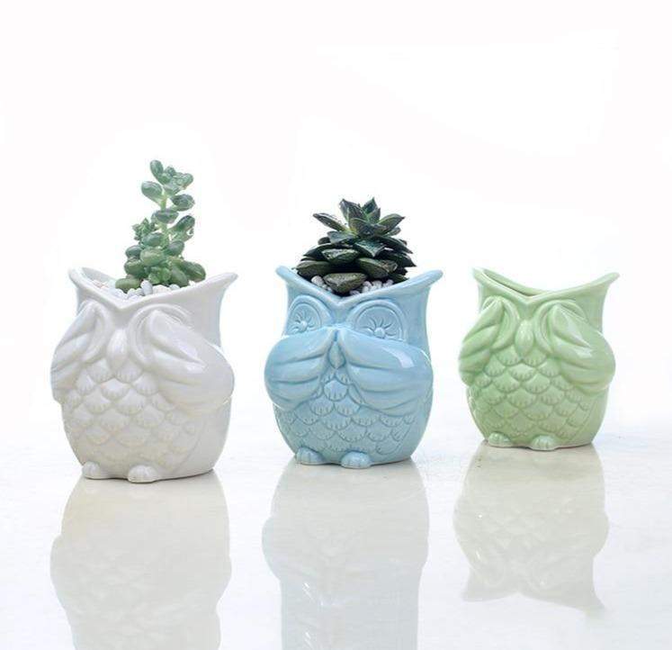 The 3 Wise Owls Blackbrdstore