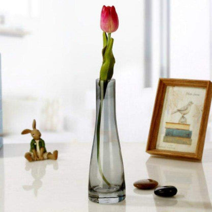 Transparent Glass Vases Blackbrdstore