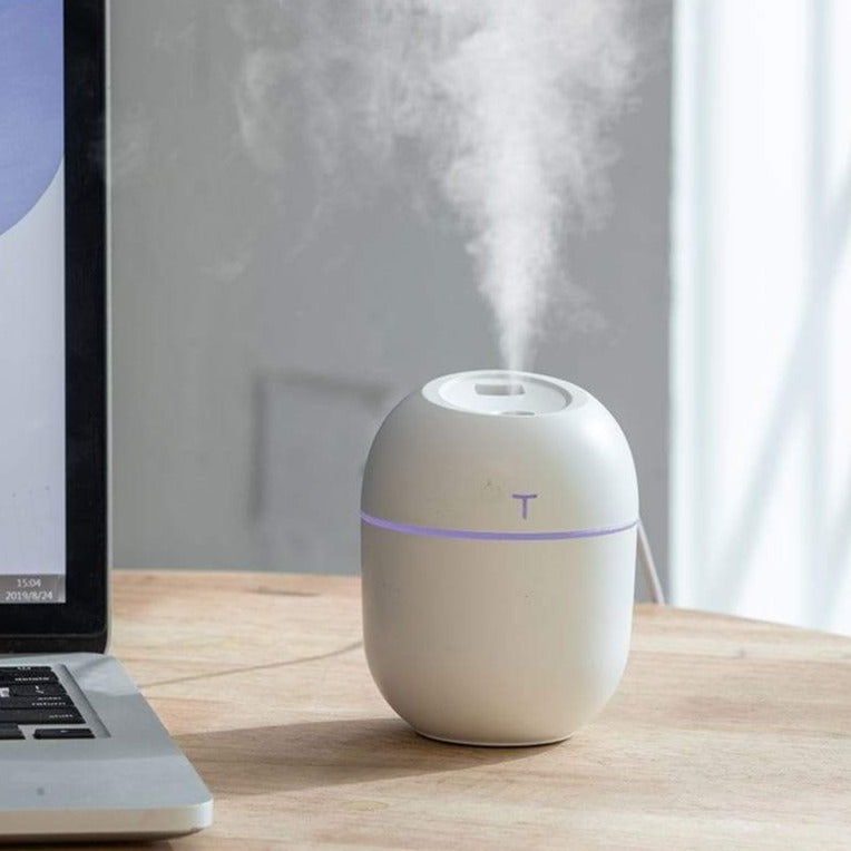 Ultrasonic Mini Air Humidifier Blackbrdstore