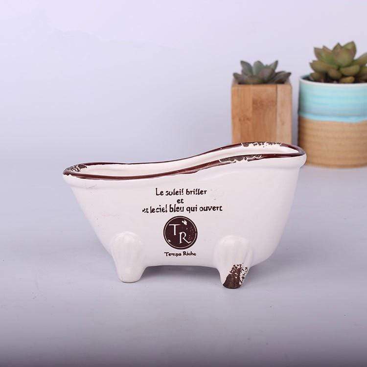Vintage Succulent Flower Pot Blackbrdstore