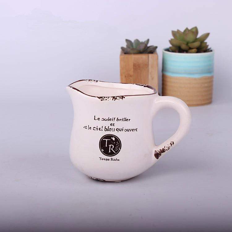 Vintage Succulent Flower Pot Blackbrdstore