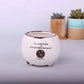Vintage Succulent Flower Pot Blackbrdstore