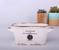 Vintage Succulent Flower Pot Blackbrdstore