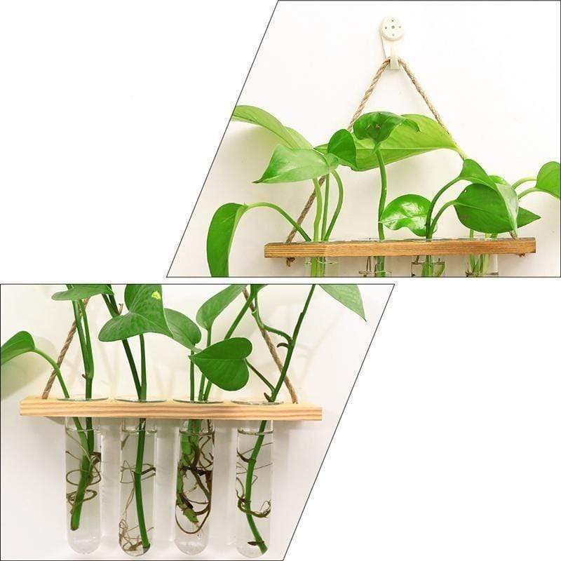 Wall-Mounted Hydroponic Tube Vases Blackbrdstore