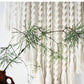 Waves Macrame Tapestry Blackbrdstore