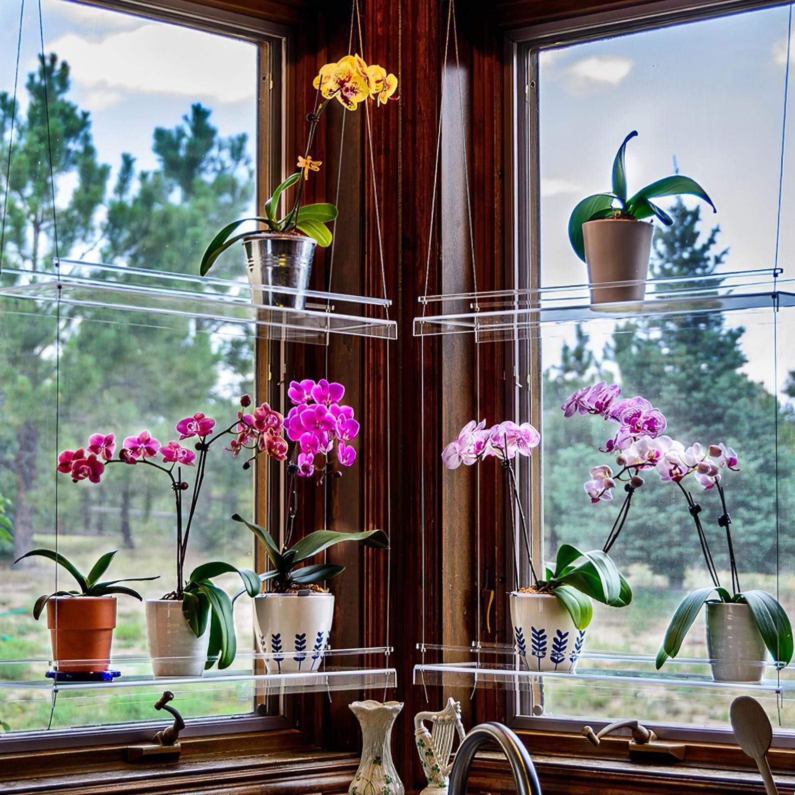 Window Plant Shelf Blackbrdstore