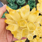 Yellow Phantom Quartz Crystal Cluster Blackbrdstore