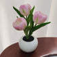Blackbrdstore Pink Led Tulip Table Lamp With Pot