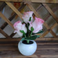 Blackbrdstore Rose Led Tulip Table Lamp With Pot