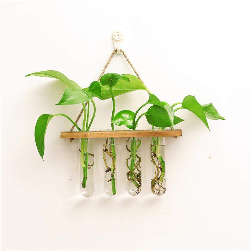 Blackbrdstore Wall-Mounted Hydroponic Tube Vases