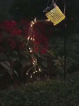 Sprinkles Your Garden With Fairylight