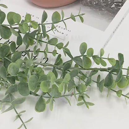 Green Eucalyptus Branch